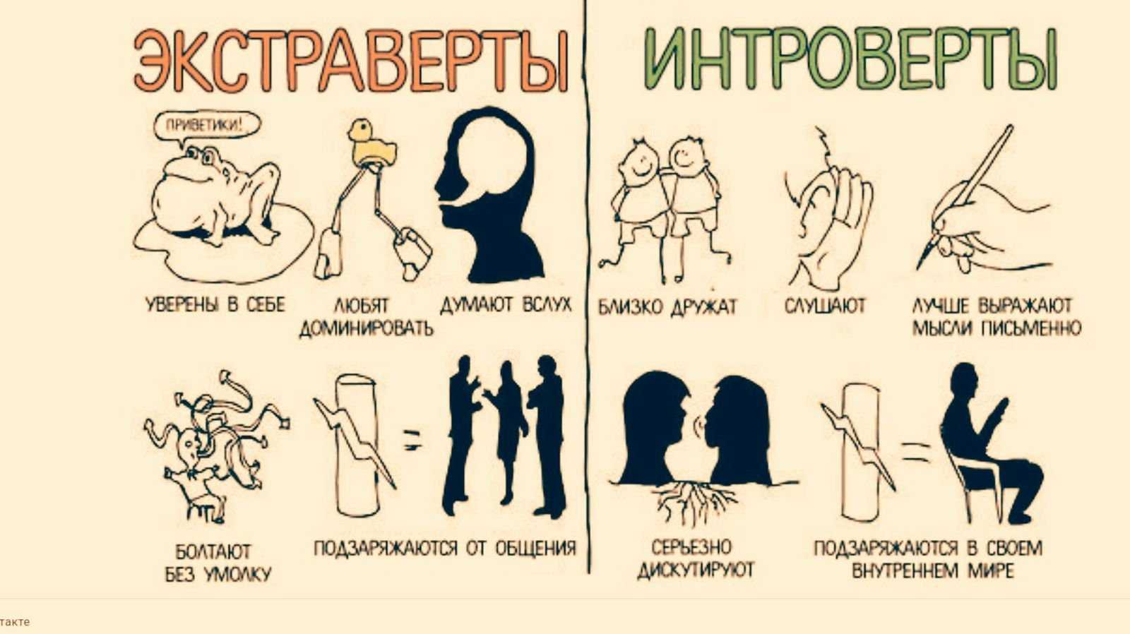 В чем разница между интровертом и экстравертом В чем разница между интровертом и экстравертом